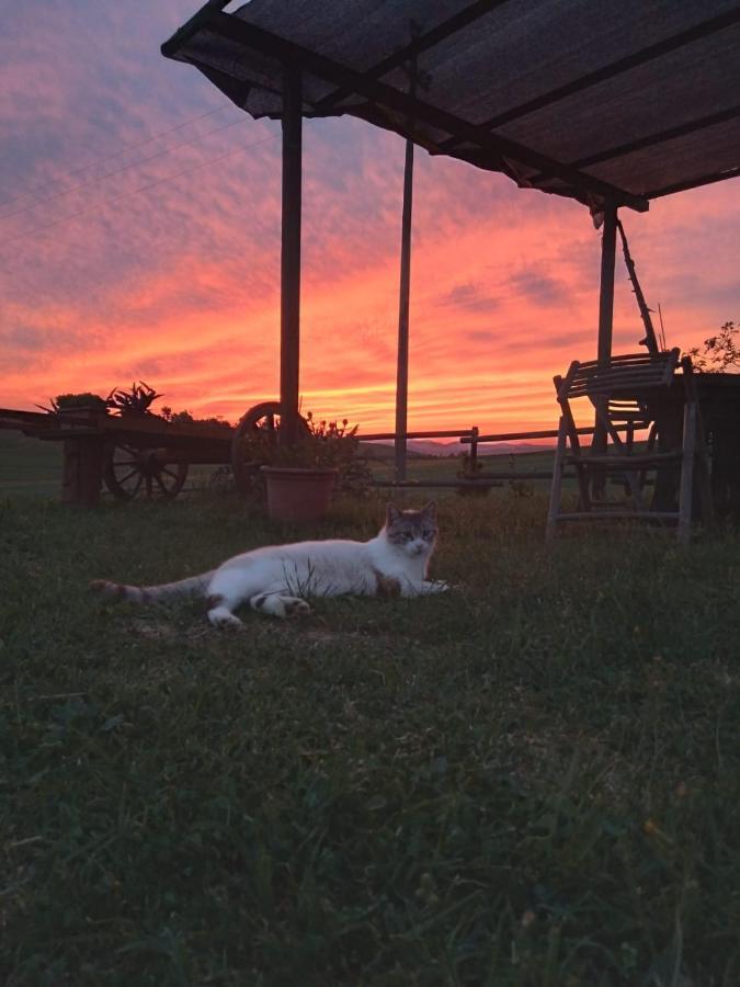 Villa Enjoy Sunset Colle Massari Esterno foto